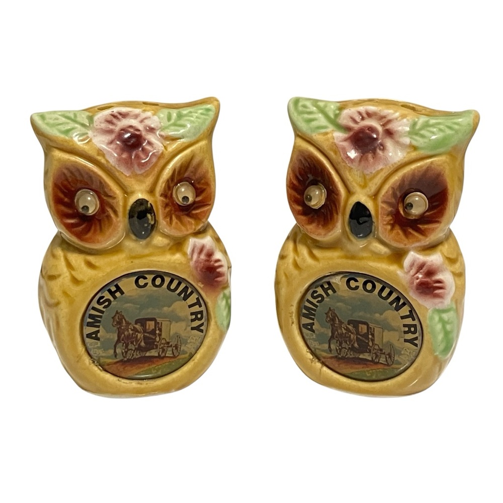 Vintage Lipco Owl Amish County PA Souvenir Salt & Pepper Shakers